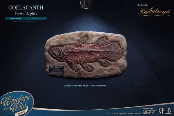 Wonders of the Wild: Coelacanth Fossil 32 cm Replica - X-Plus