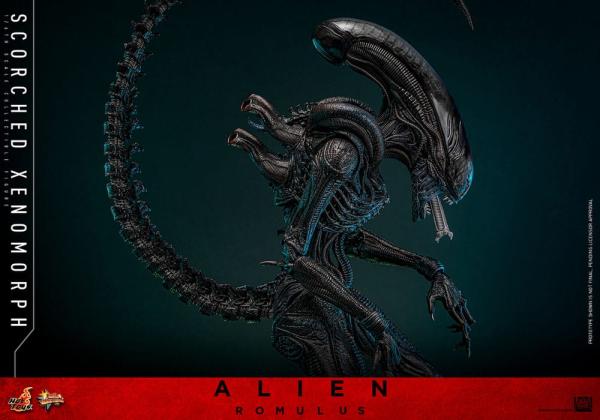 Alien: Romulus Movie Masterpiece Action Figure 1/6 Scorched Xenomorph 44 cm