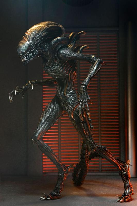 Alien: Romulus Ultimate Action Figure Scorched Xenomorph 18 cm 2