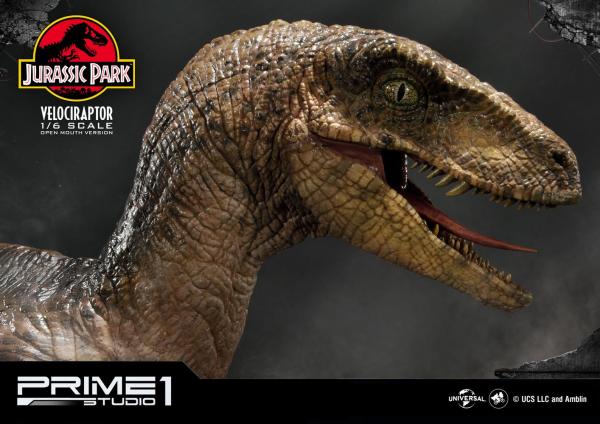 Jurassic Park Statue 1/6 Velociraptor 41 cm 6