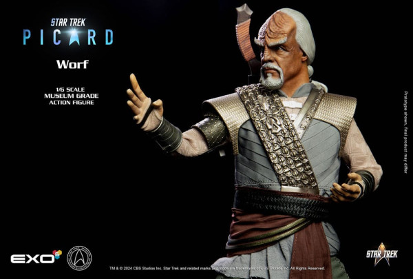 Star Trek: Picard Action Figure 1/6 Worf 30 cm 8