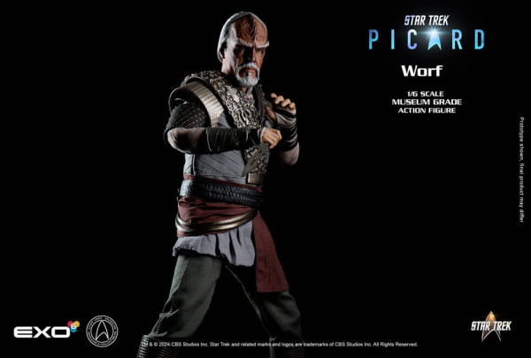 Star Trek: Picard Action Figure 1/6 Worf 30 cm 11