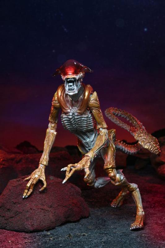 Aliens: Panther Alien (Kenner Tribute) 23 cm Action Figure - Neca