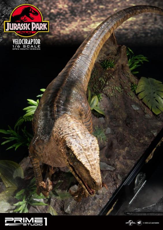 Jurassic Park Statue 1/6 Velociraptor 41 cm 7