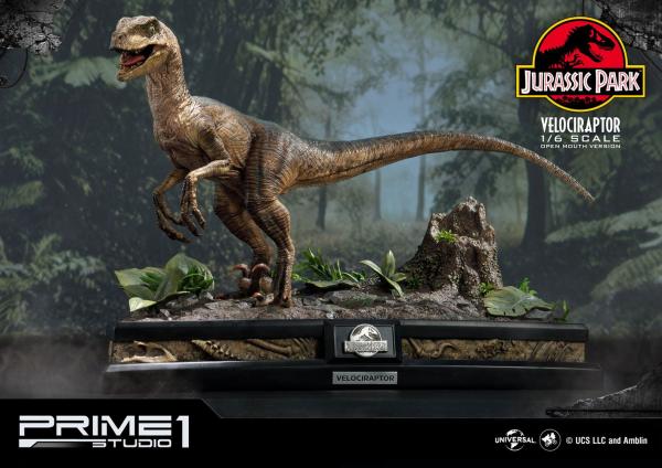 Jurassic Park Statue 1/6 Velociraptor 41 cm 3