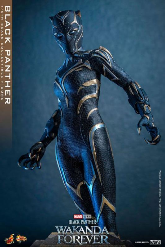 Black Panther Wakanda Forever: Black Panther 1/6 Action Figure - Hot Toys