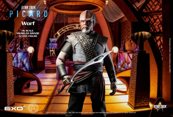 Star Trek: Picard Action Figure 1/6 Worf 30 cm 13