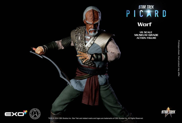 Star Trek: Picard Action Figure 1/6 Worf 30 cm 7
