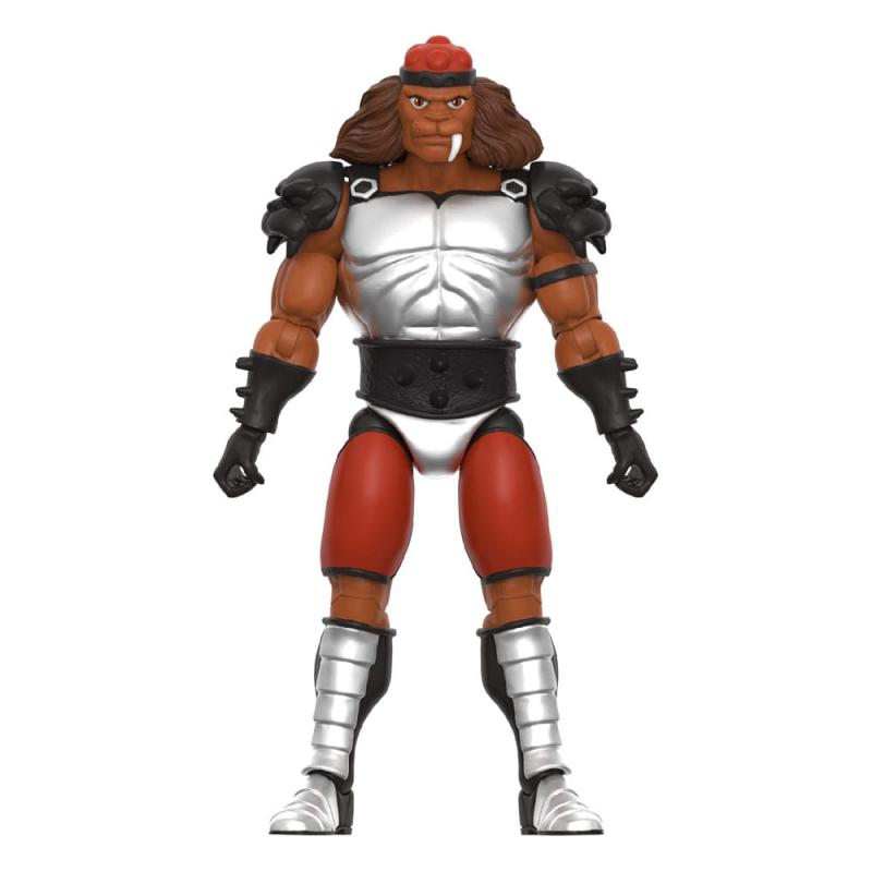 Thundercats: Grune The Destroyer (Toy Recolor) 20 cm Ultimates Action Figure - Super7