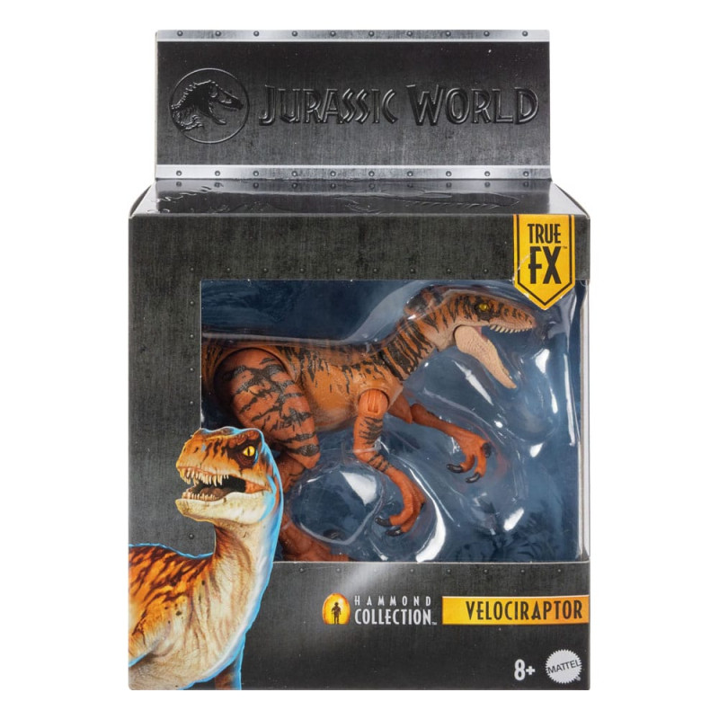 Jurassic World Hammond Collection Action Figure Velociraptor 3