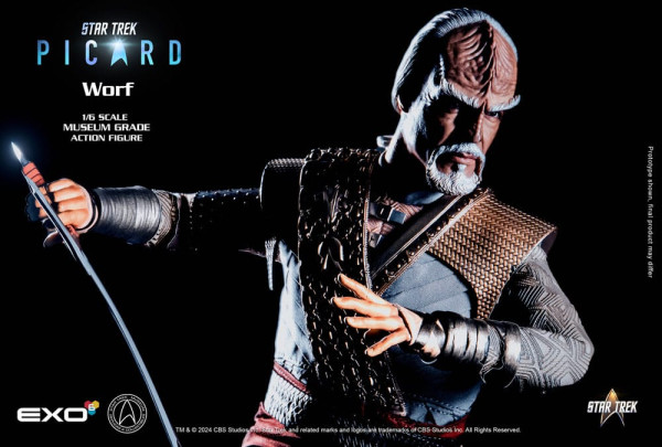 Star Trek: Picard Action Figure 1/6 Worf 30 cm 6