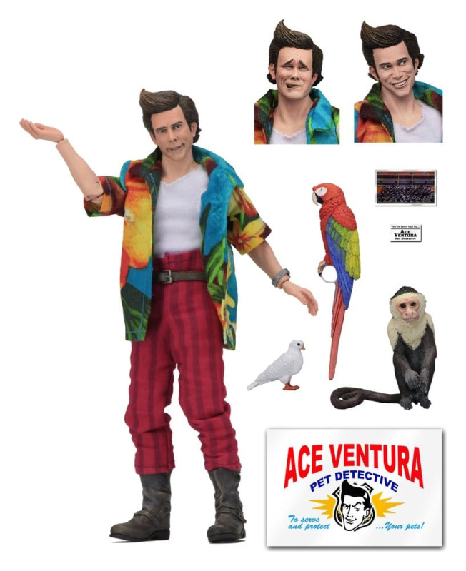 Ace Ventura Clothed Action Figure Ace Ventura 20 cm 1