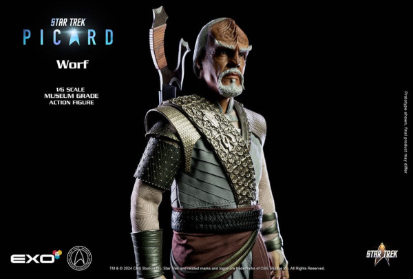 Star Trek: Picard Action Figure 1/6 Worf 30 cm 9