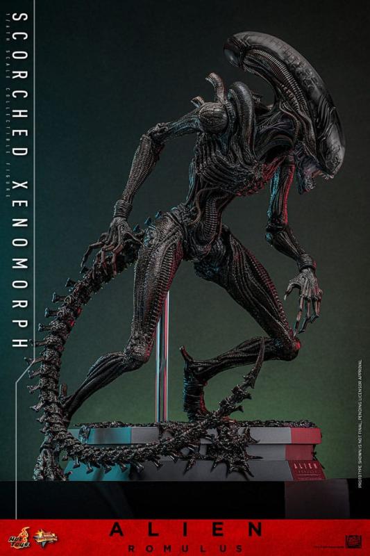 Alien: Romulus Movie Masterpiece Action Figure 1/6 Scorched Xenomorph 44 cm