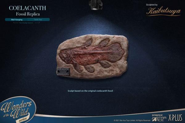 Wonders of the Wild: Coelacanth Fossil 32 cm Replica - X-Plus