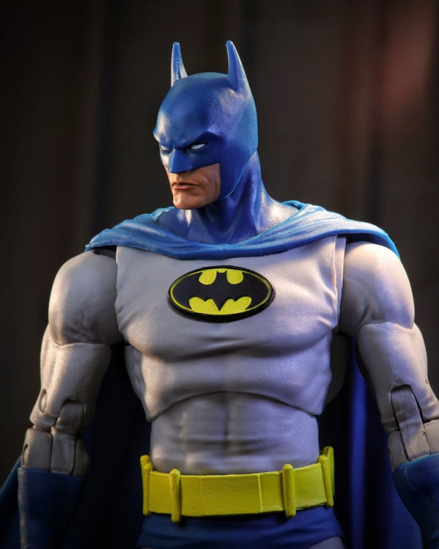 DC Multiverse McFarlane Vault Collection Action Figure Batman (Knightfall) 18 cm 10