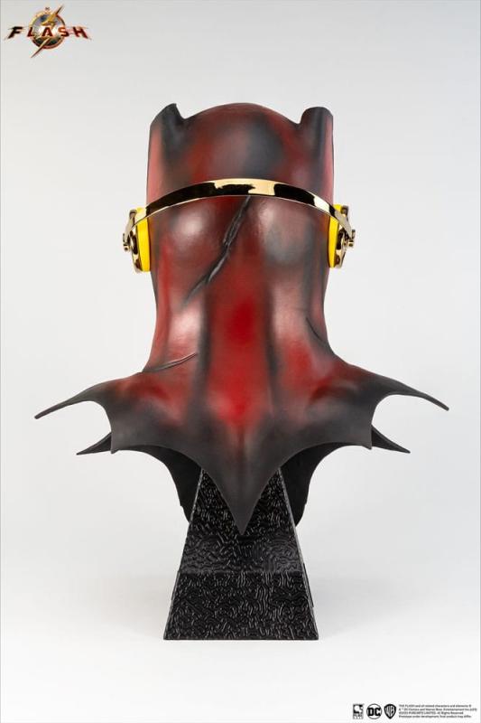 DC Comics: Young Barry Cowl 1/1 Replica - Pure Arts