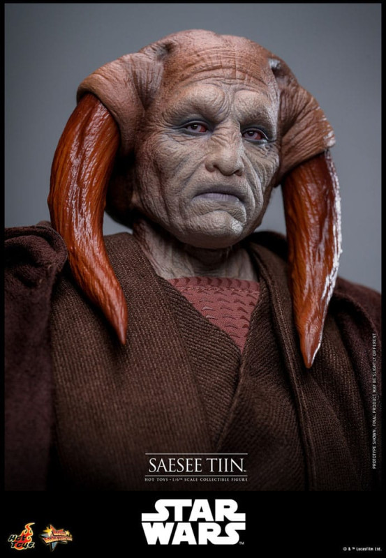 Star Wars: Episode III - Revenge of the Sith Movie Masterpiece Action Figure 1/6 Saesee Tiin 31 cm 4