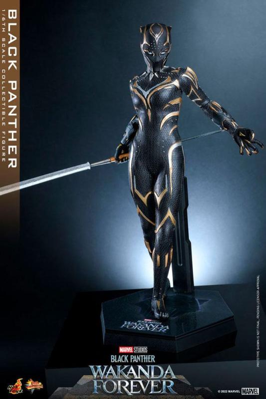 Black Panther Wakanda Forever: Black Panther 1/6 Action Figure - Hot Toys