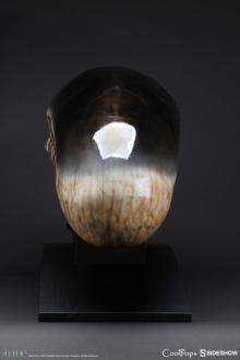 Alien 3 Replica 1/1 Dog Alien Head 40 cm 4