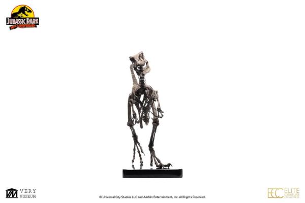 Jurassic Park Statue 1/4 Raptor Skeleton Bronze 46 cm