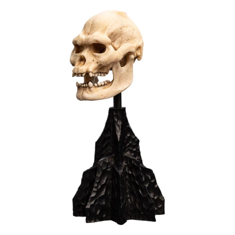 Lord of the Rings Mini Statue Skull of Lurtz 14 cm