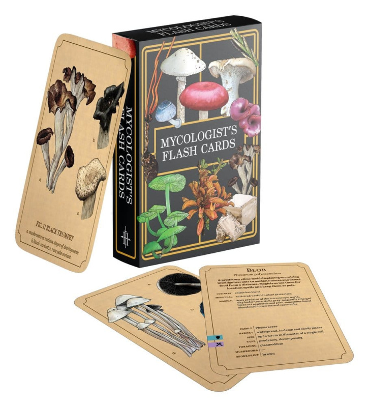 Renegade Originals: Mycologist's Primer Flash Cards *English Version*