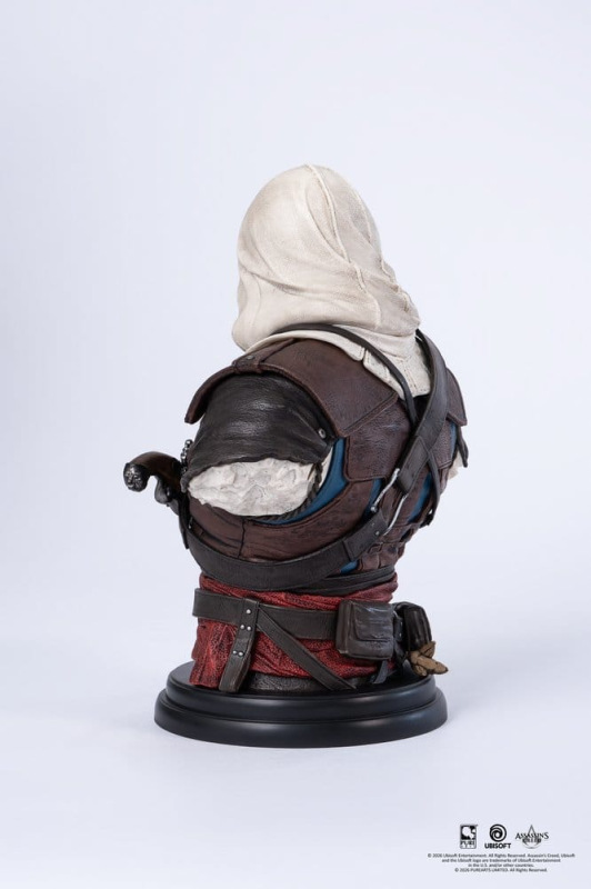 Assassin´s Creed Bust 1/4 Edward 3