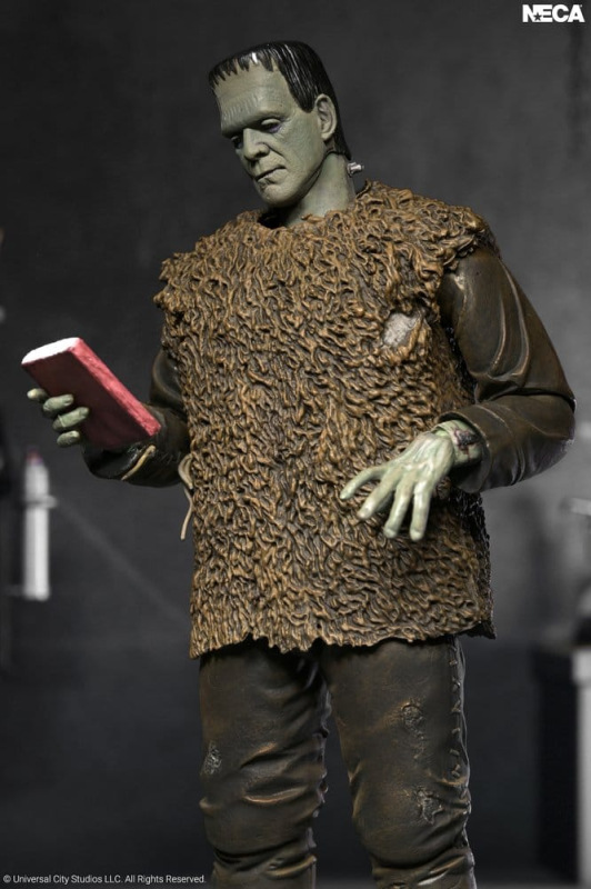 Universal Monsters: Son of Frankenstein Action Figure Ultimate Frankenstein's Monster 18 cm 5