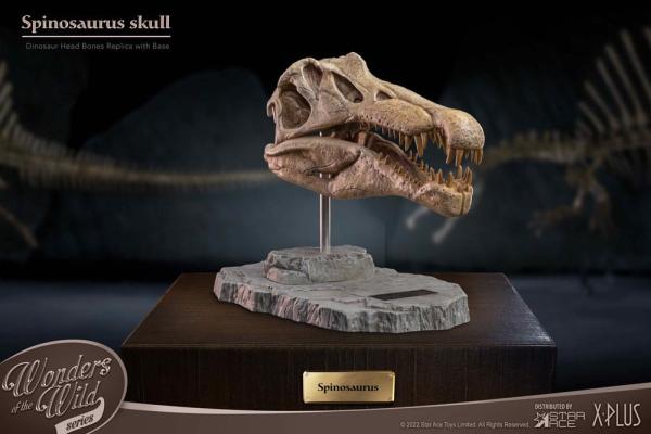 Wonders of the Wild Series: Spinosaurus Head Skull 30 cm Statue - Star Ace Toys