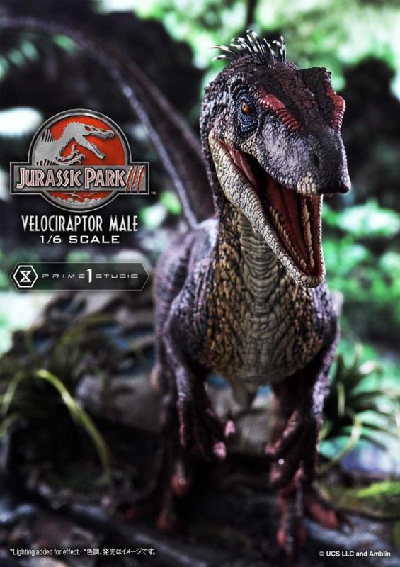 Jurassic Park III Legacy Museum Collection Statue 1/6 Velociraptor Male Bonus Version 40 cm