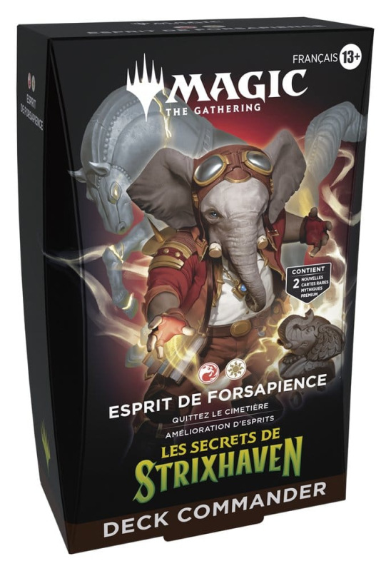 Magic the Gathering Les secrets de Strixhaven Commander Decks Case (5) french 10