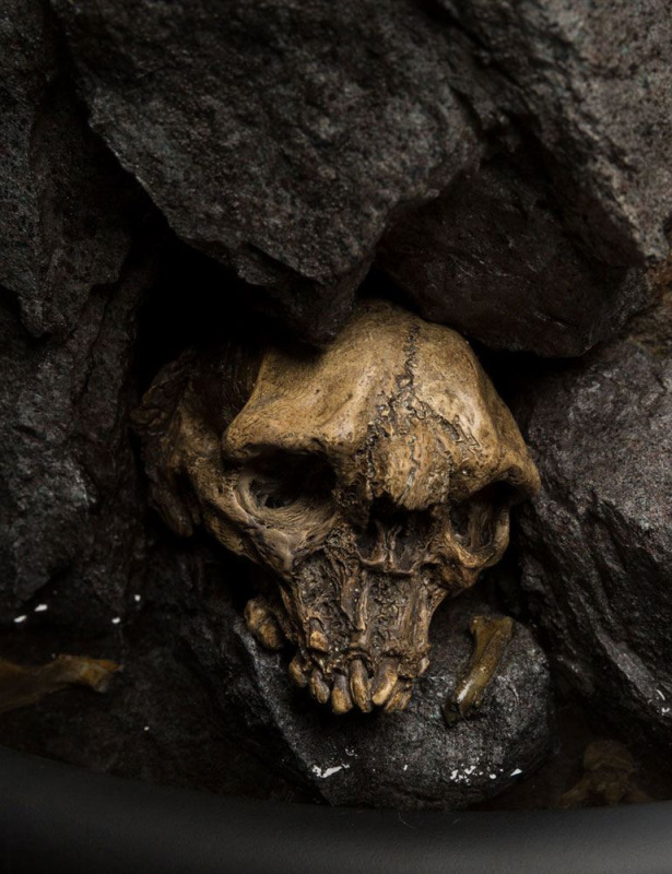 Lord of the Rings Masters Collection Statue 1/3 Gollum 42 cm 6