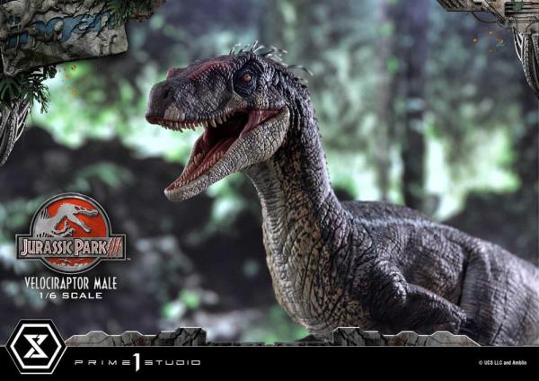 Jurassic Park III Legacy Museum Collection Statue 1/6 Velociraptor Male Bonus Version 40 cm