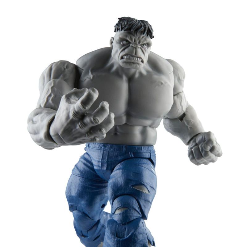 Avengers: Beyond Earth's Mightiest Marvel Legends Action Figures Gray Hulk & Dr. Bruce Banner 15 cm