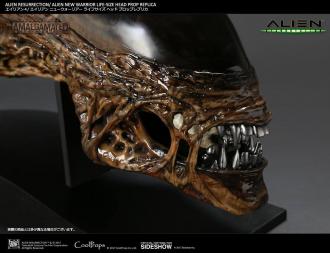 Alien Resurrection: New Warrior Head - Replica 1/1 - CoolProps