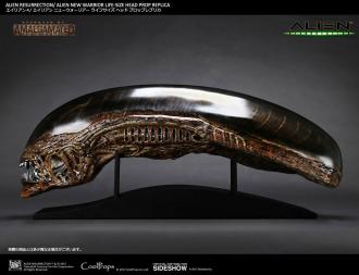 Alien Resurrection: New Warrior Head - Replica 1/1 - CoolProps