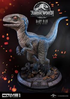 Jurassic World Fallen Kingdom: Baby Blue - Statue 1/1 69 cm - Prime 1 Studio